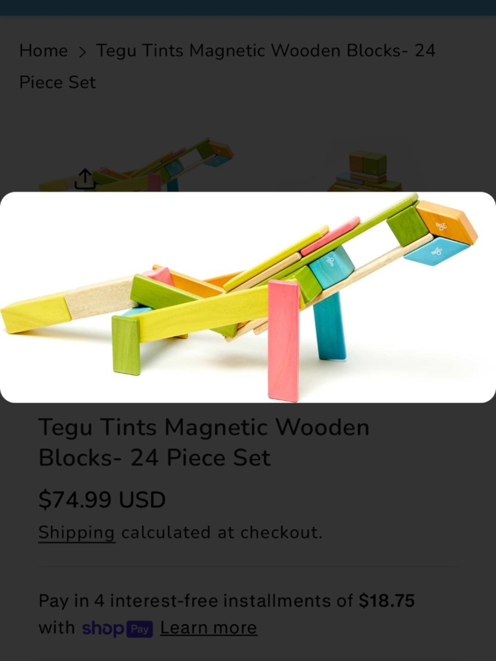 Tegu "Magnetic Wooden Blocks 24-piece set" NWT - Picture 8 of 14